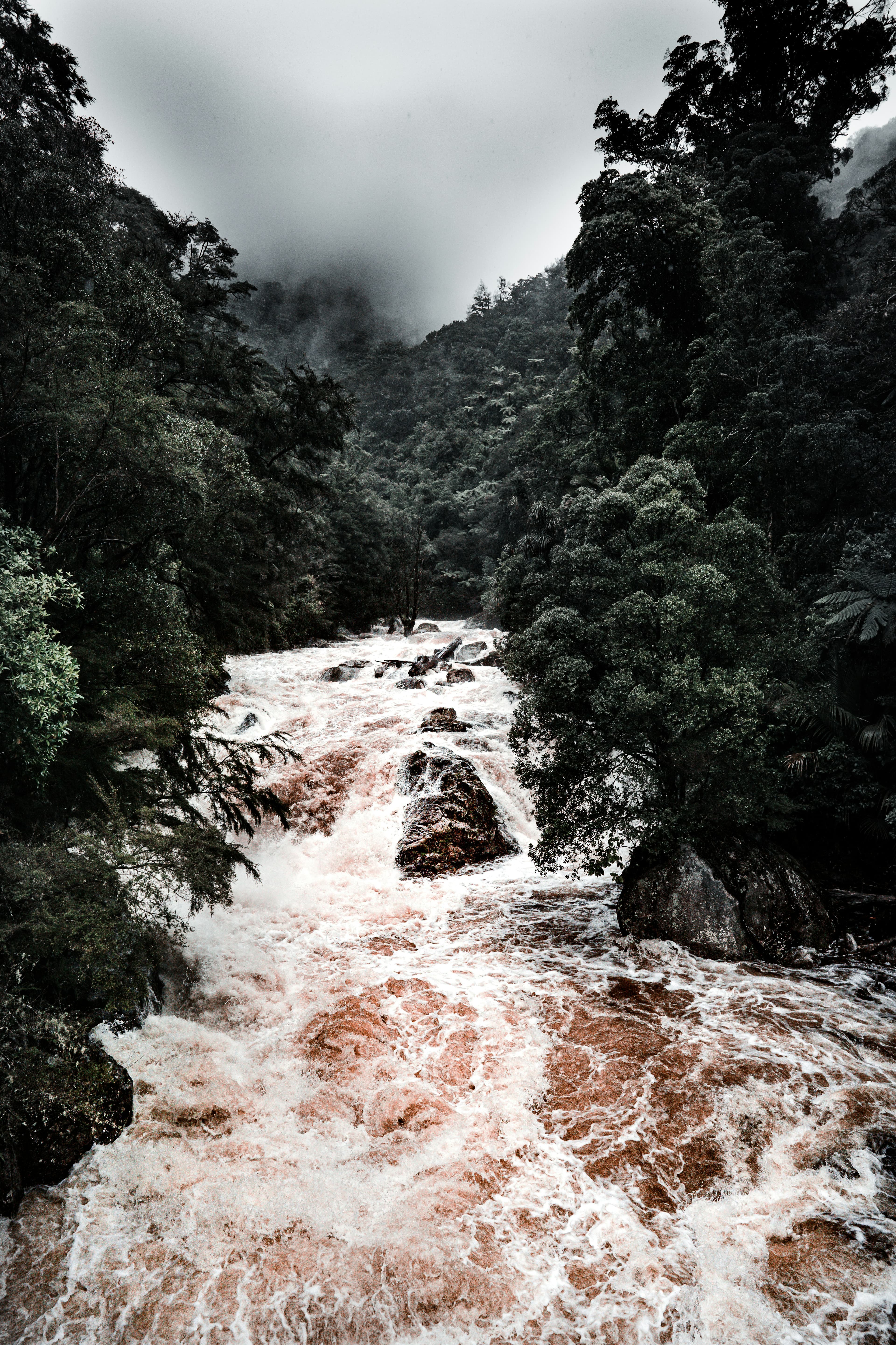 A New Zealand bush river in full flood, carrying silt and debris - emergency response to severe weather events. Photo by Matt Costello.